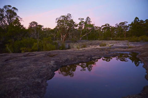 Top Family Camping Spots in Queensland