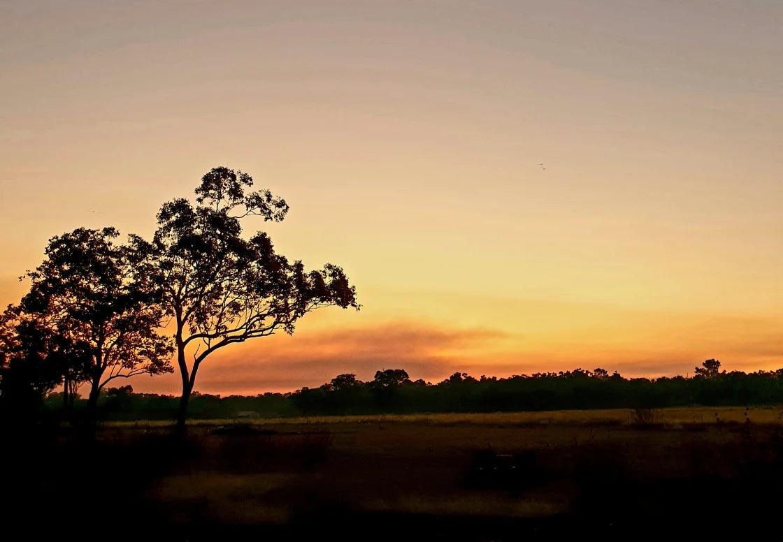 Top 10 Pet Friendly Campgrounds